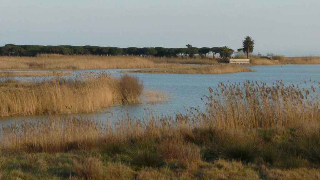 El río Llobregat en el municipio de El Prat