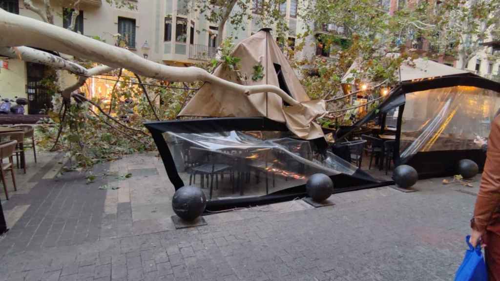 Cae un árbol sobre una terraza en el Eixample