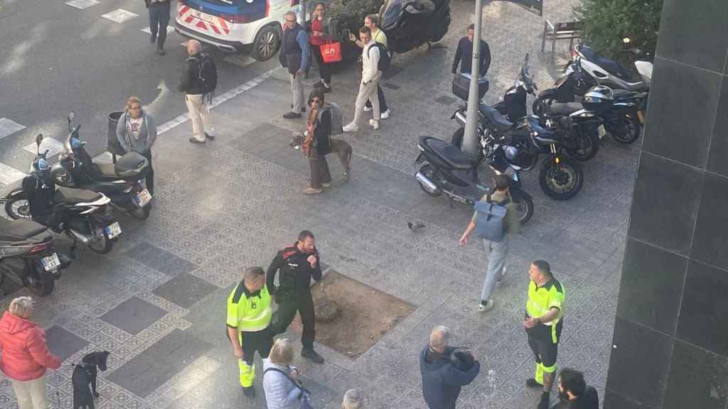 La calle de Balmes, donde un hombre ha agredido a dos ancianas