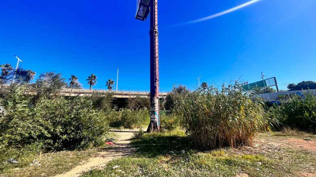 Interior del solar abandonado en La Mina junto a las vías del tren