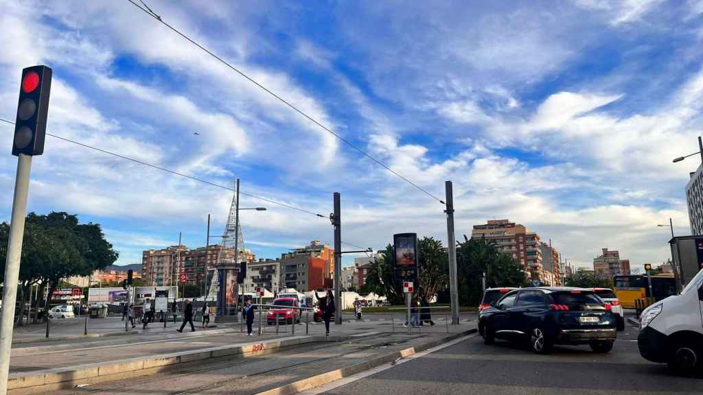 El árbol de 40 metros de Badalona