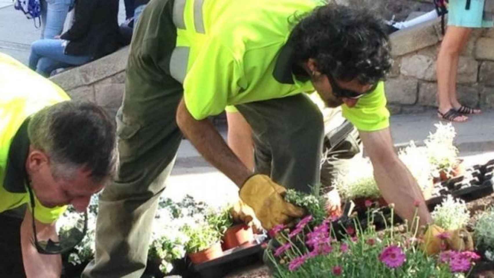 Trabajadores de Parcs i Jardins