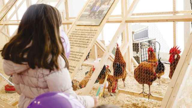 Feria Avícola de El Prat de Llobregat