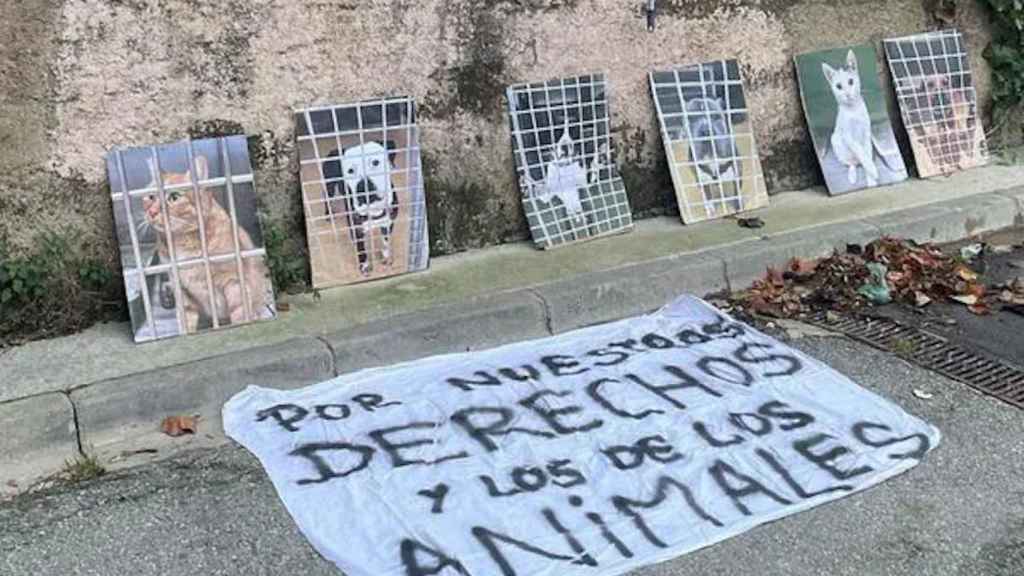 Los trabajadores del Centro de Acogida de Animales de Barcelona en huelga