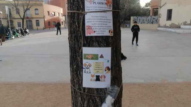 El proyecto  'Som Sant Andreu' para recoger los excrementos de los perros