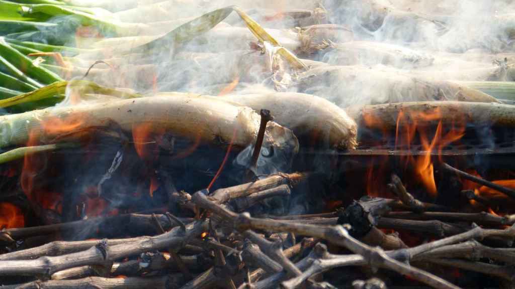 Calçotada en una imagen archivo