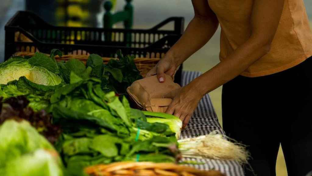 Mercat de la Terra