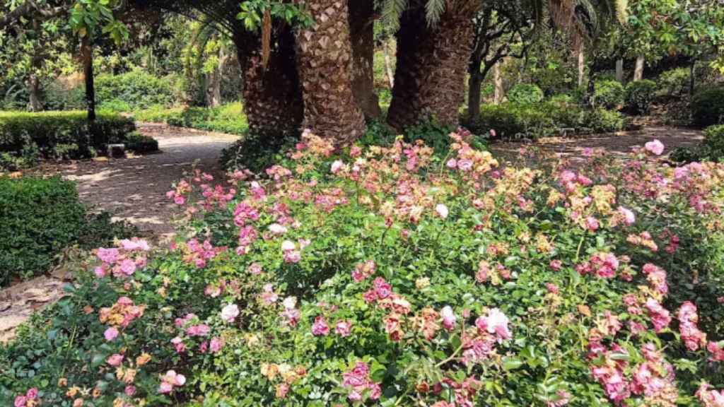 El jardín más curioso de Barcelona: refugio subterráneo y hogar de dos presidentes