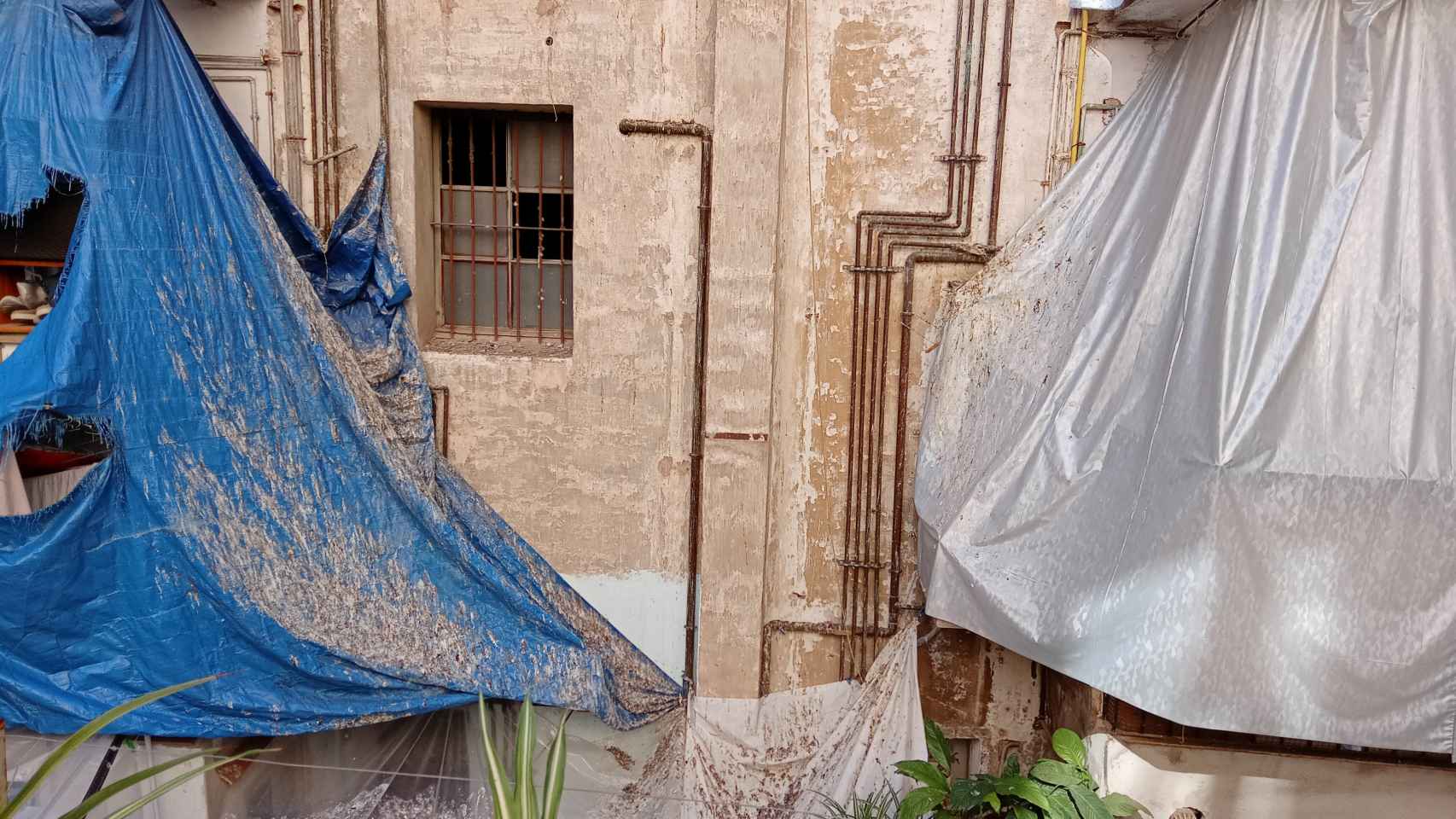Excrementos impregnados en los toldos de viviendas del Raval