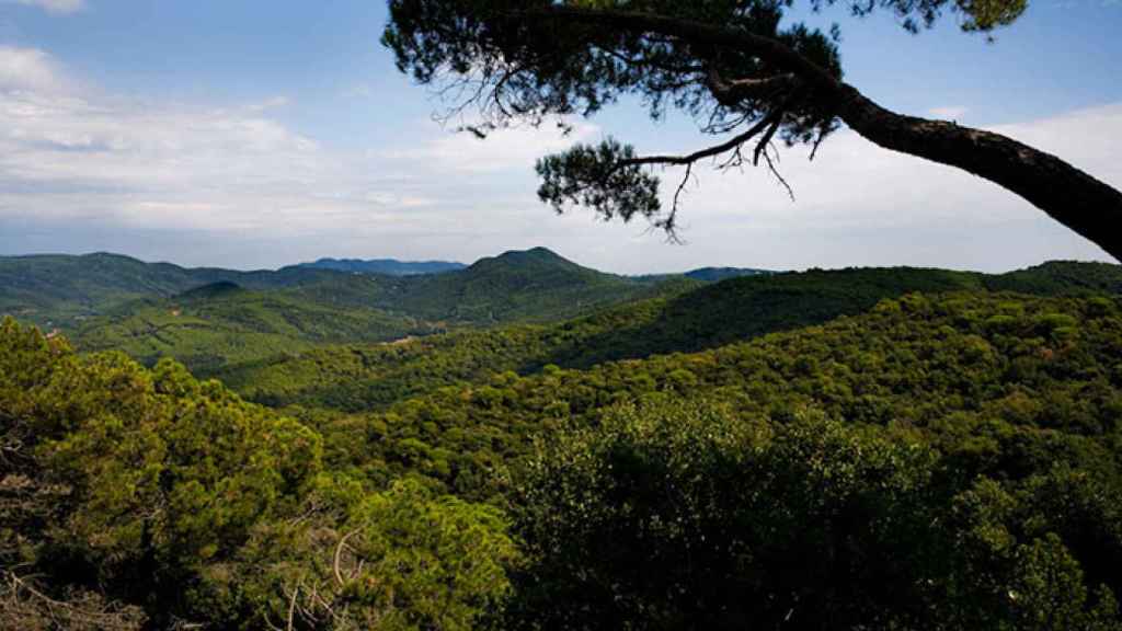 Parc de la Serralada Litoral