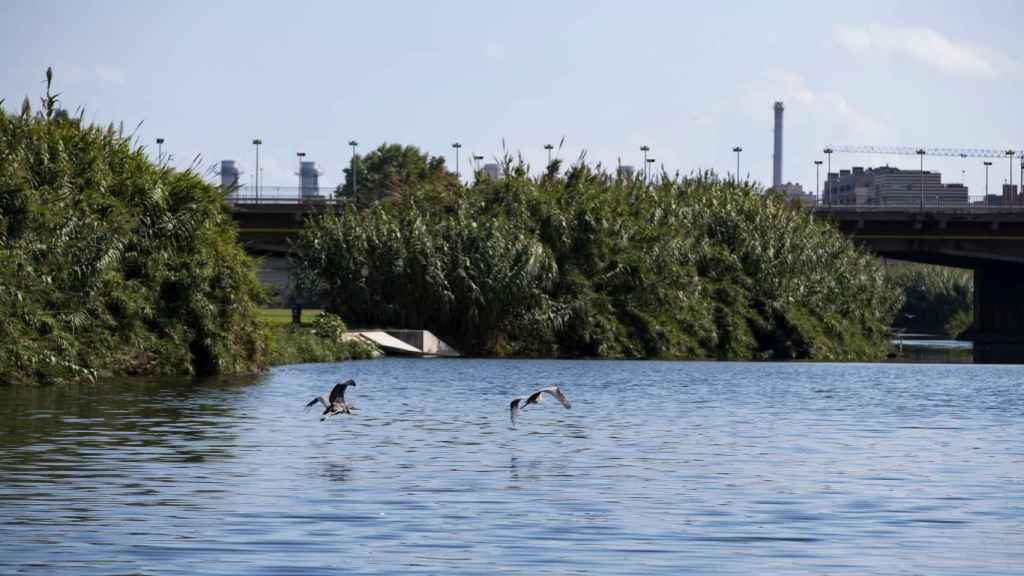 Parque fluvial del río Besòs