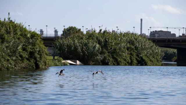 Parque fluvial del río Besòs