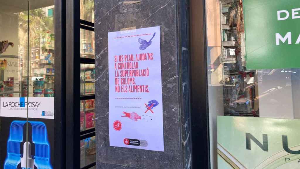 Carteles en los edificios donde el ayuntamiento informa de que los residentes cesen la actividad de alimentar a las palomas