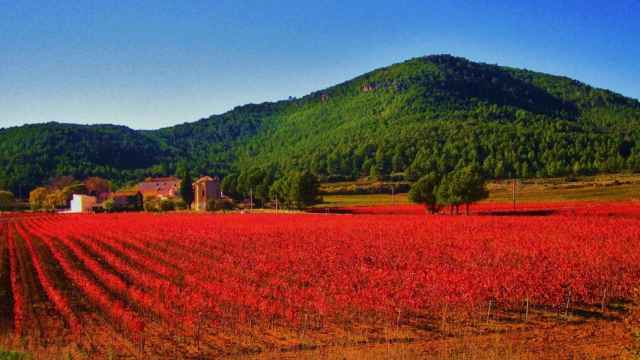 Vistas panorámicas del Montmell-Marmellar