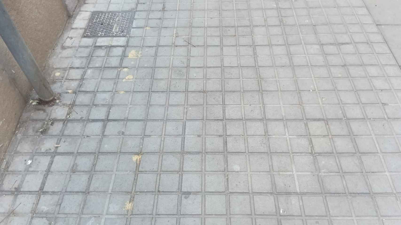 Excrementos amarillos en una calle de Barcelona