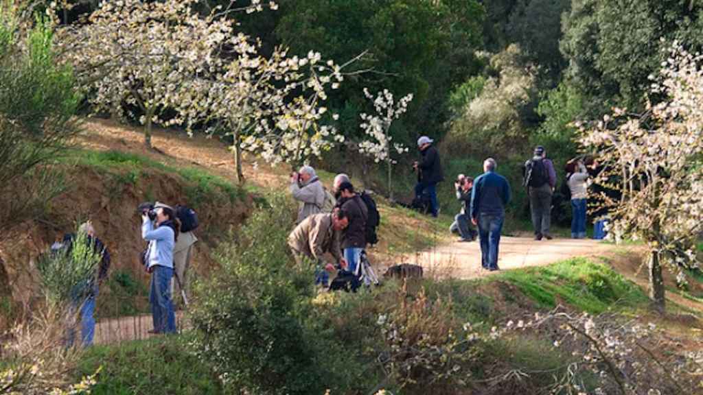 Fotógrafos capturando el entorno natural de Vallromanes