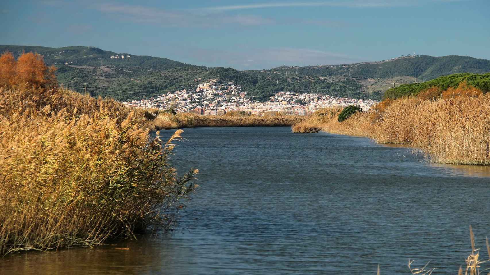 El parque natural del Delta de Llobregat en una imagen de archivo