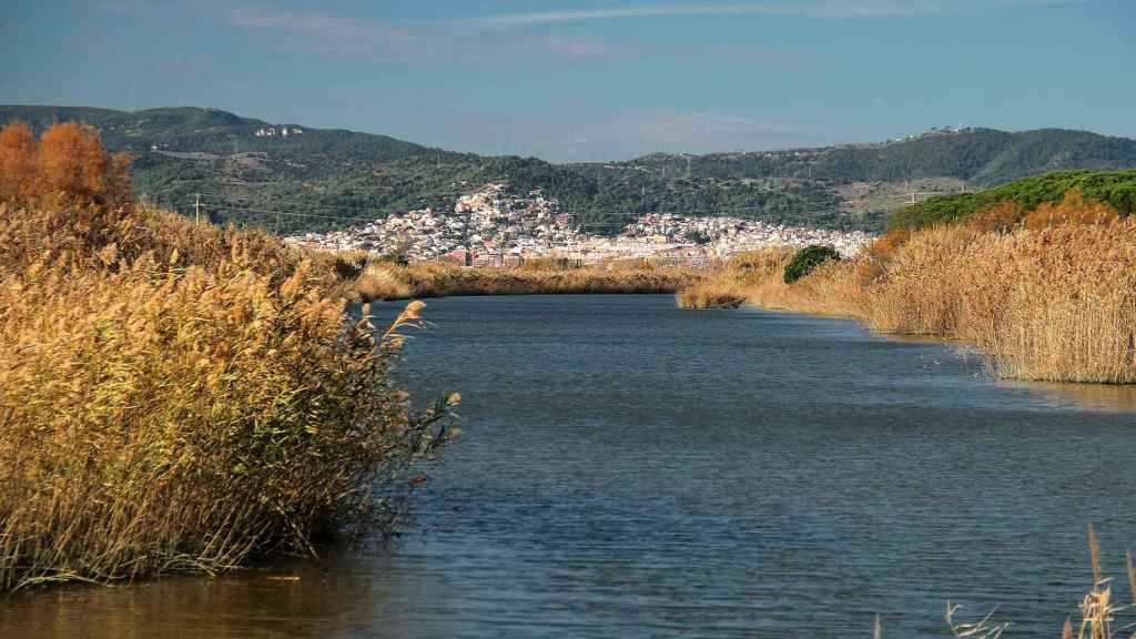 El parque natural del Delta de Llobregat en una imagen de archivo