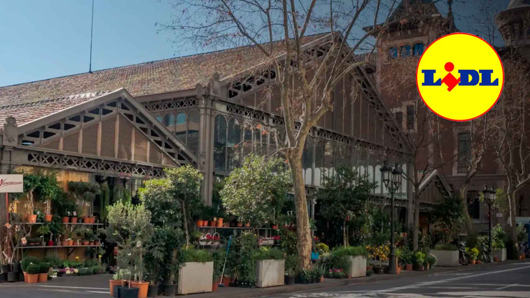 Un nuevo Lidl abrirá en el Mercat de la Concepció