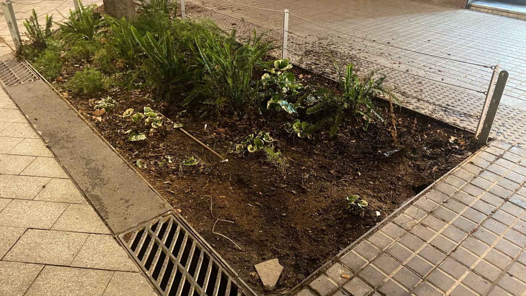 Zona ajardinada en mal estado de la Dreta del Eixample