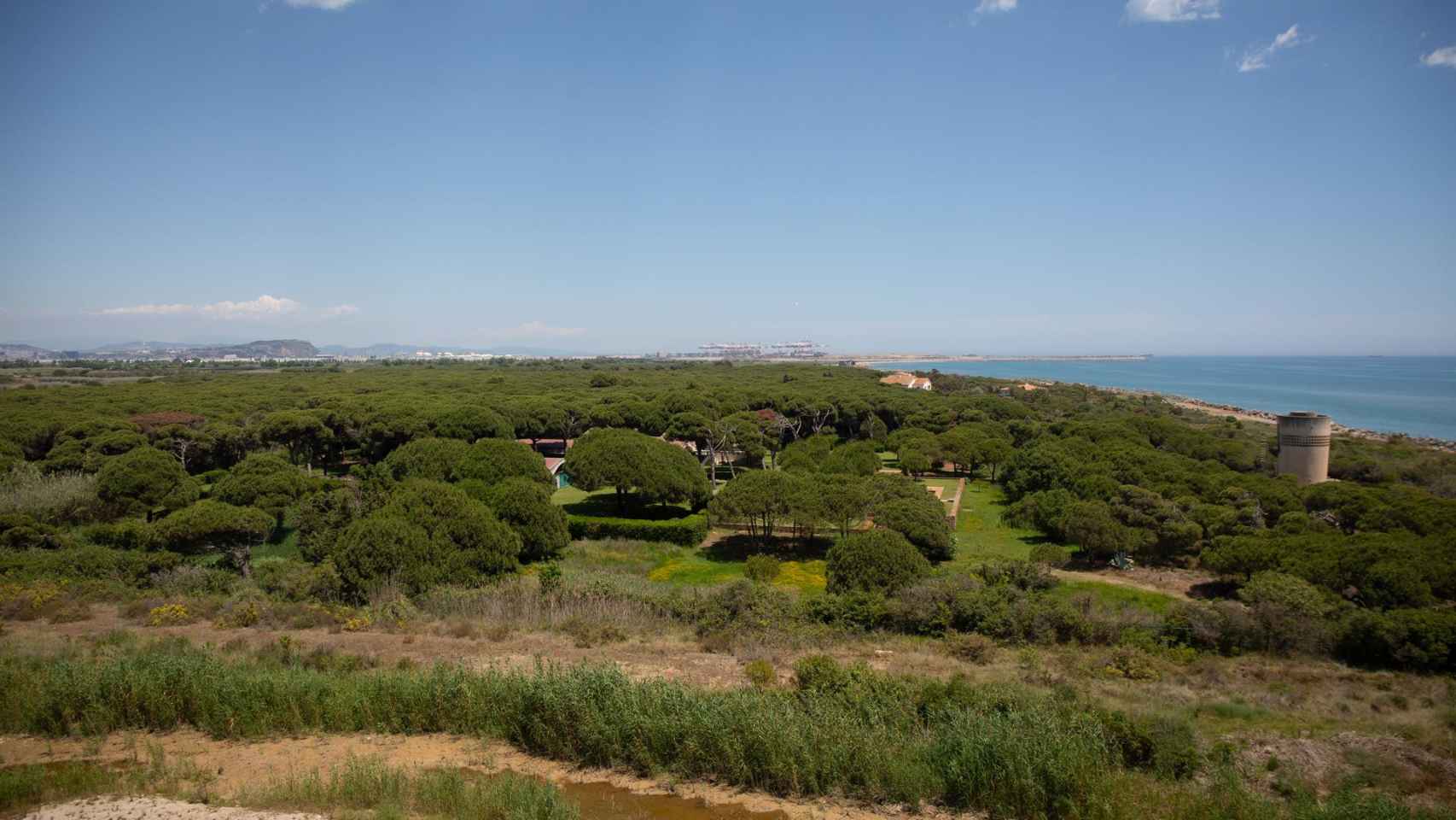 Archivo - Una finca privada dentro del espacio protegido natural de La Ricarda en El Prat de Llobregat