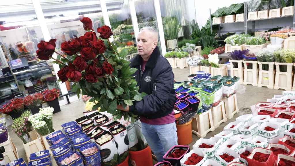 Un productor de rosas