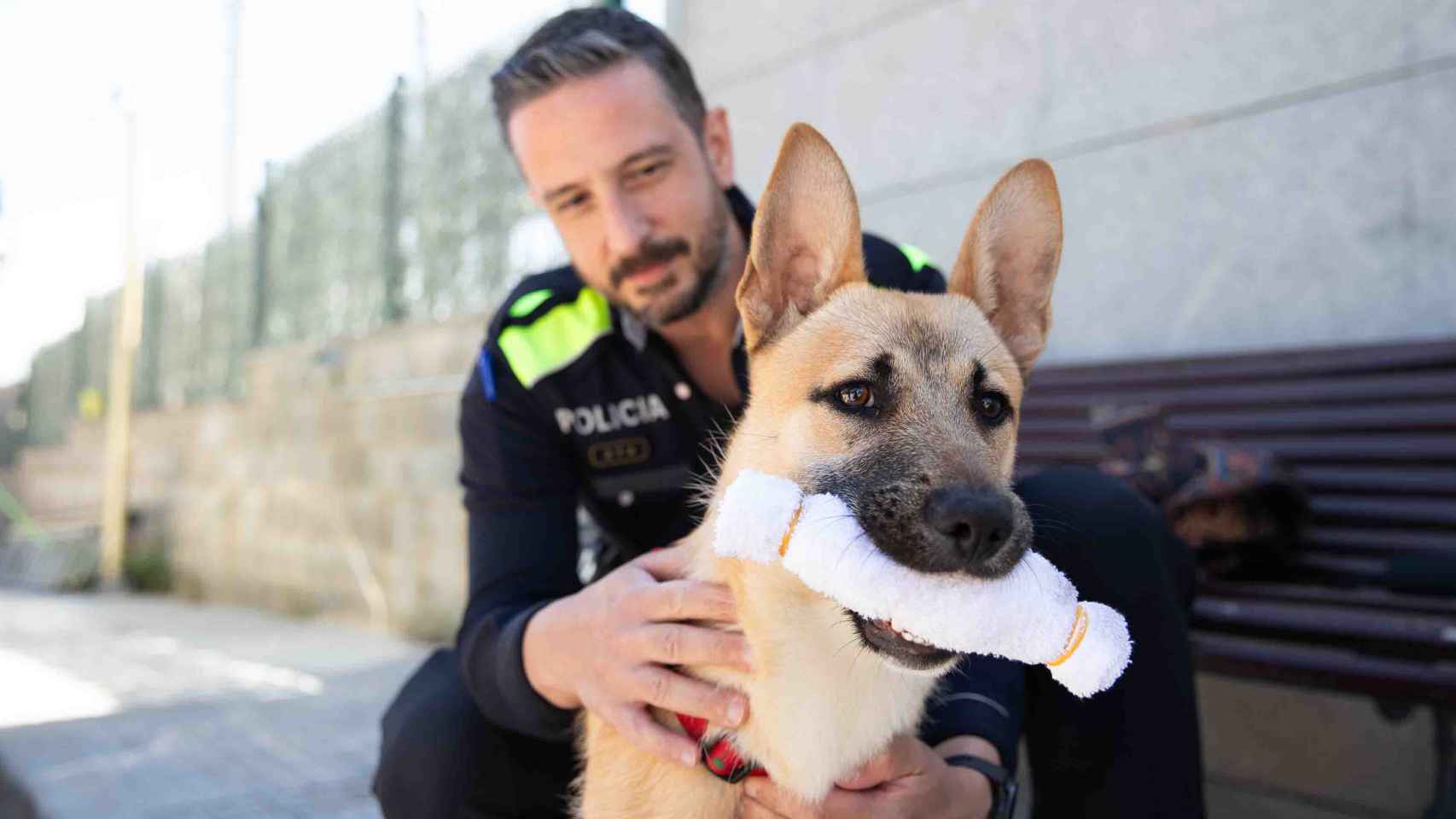 Fénix, el perro rescatado por la Policía Local de Sant Boi, con Ferrán Navarro