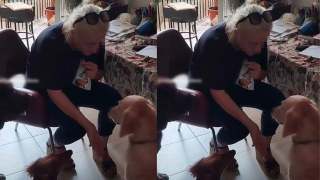 Una 'inquiokupa' monta una guardería para perros ilegal en un piso del Eixample