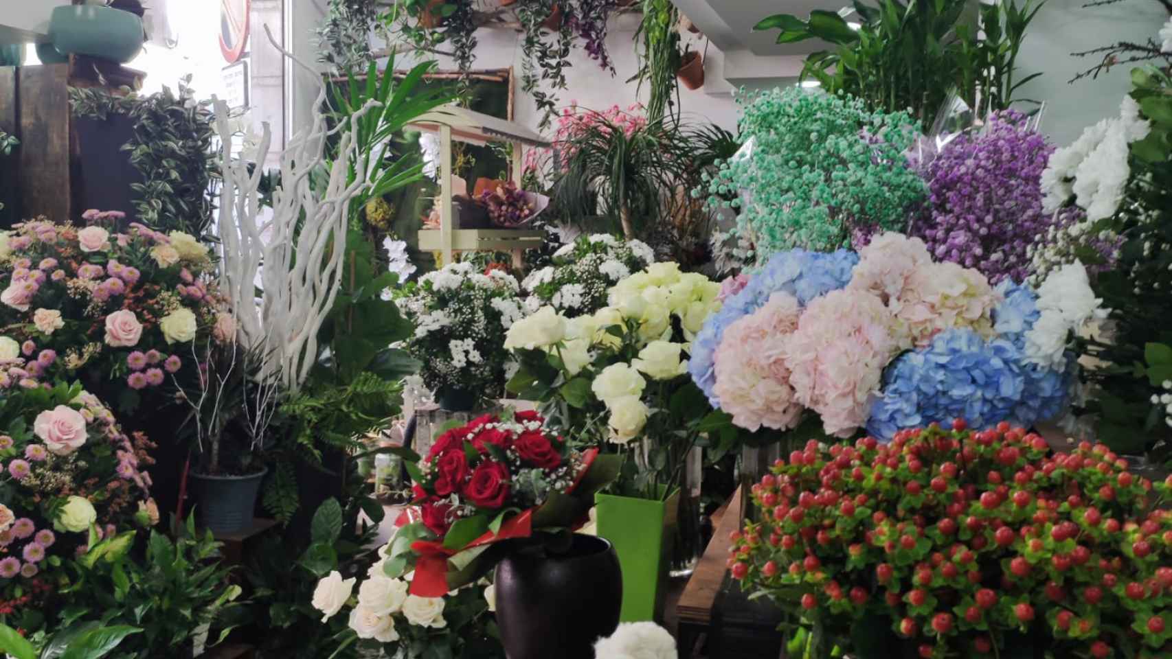 El interior de la Floristería Cyca's de Santa Coloma de Gramenet