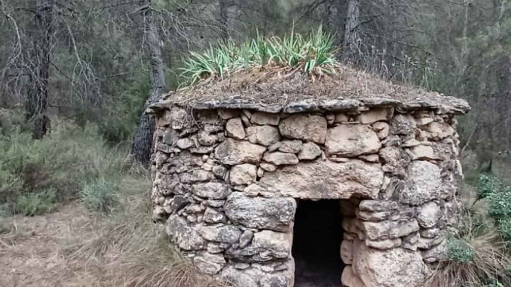 Ruta circular por los bosques del Tardà