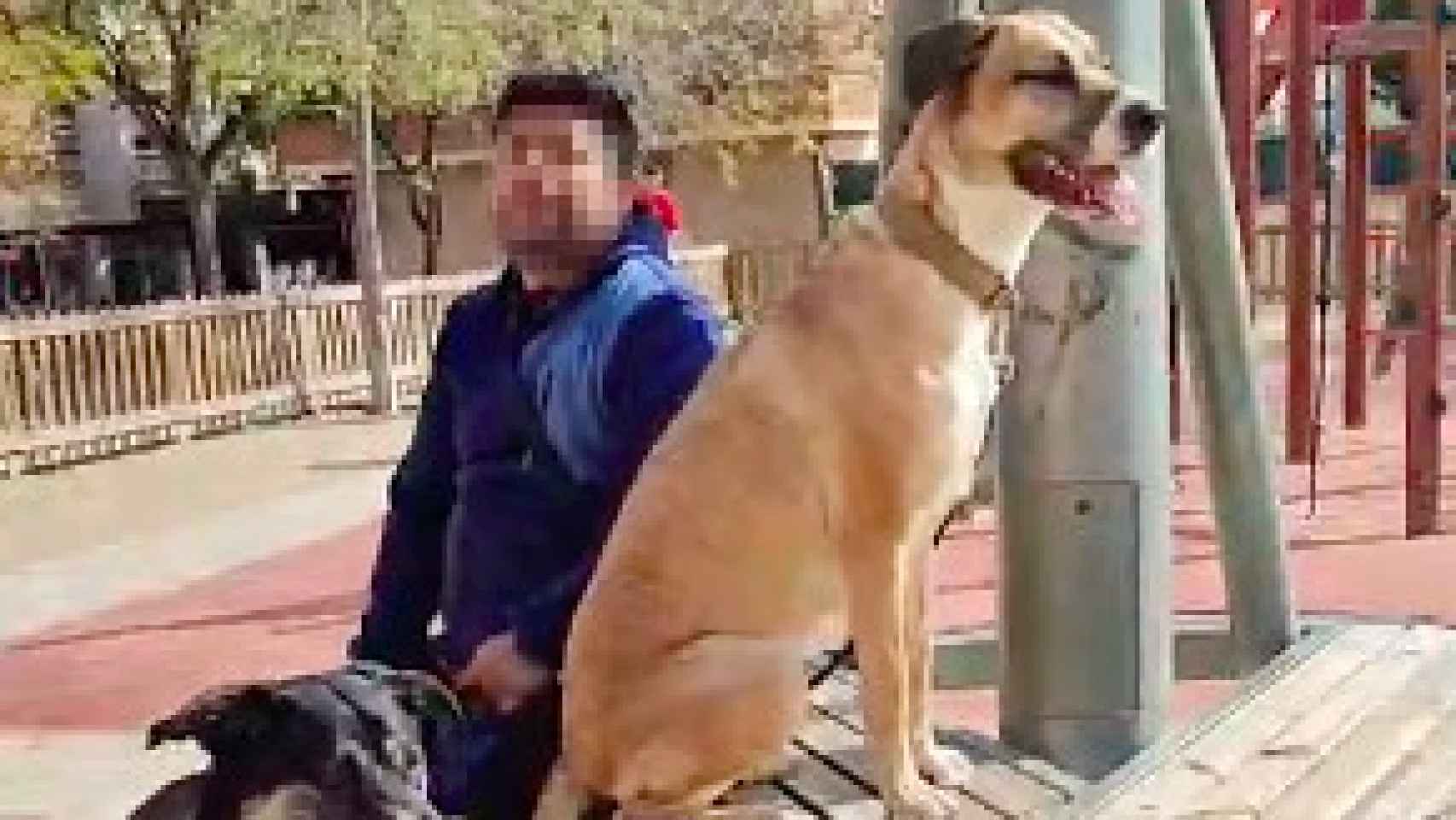 El dueño de los perros que atacaron mortalmente a otros dos en Virrei Amat