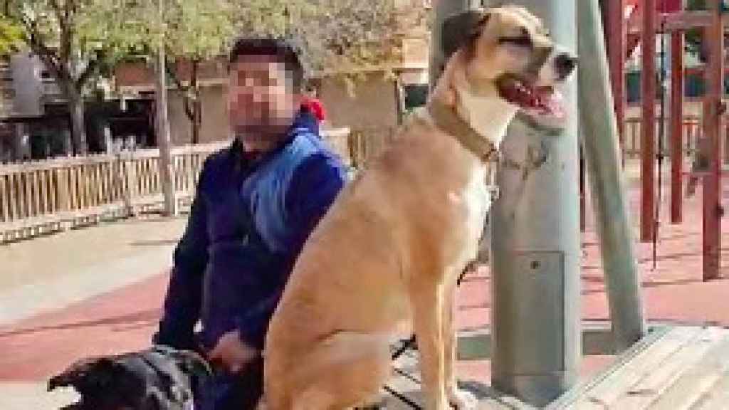 El dueño de los perros que atacaron mortalmente a otros dos en Virrei Amat