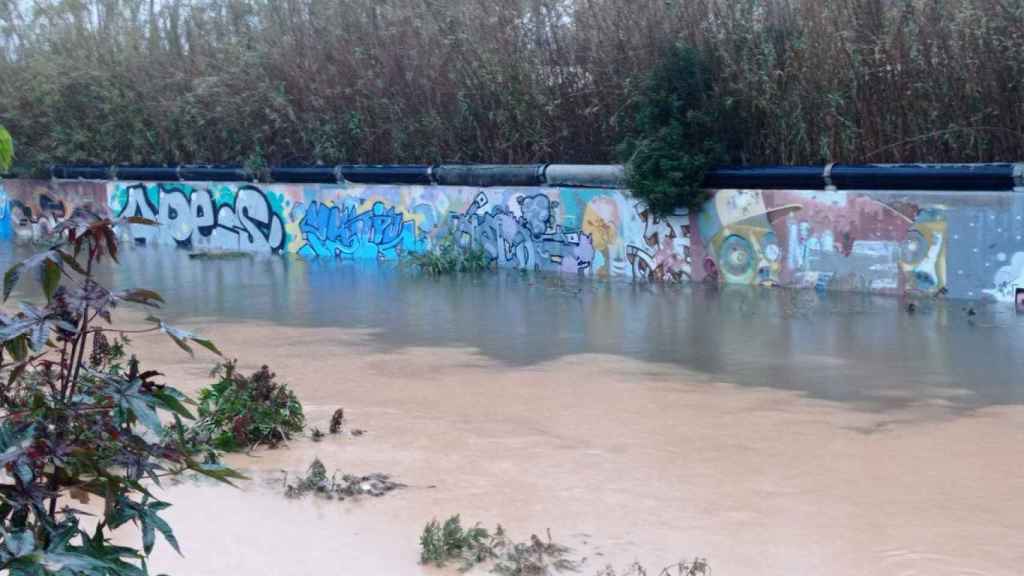 La riera de Gavà llena de aguas fecales