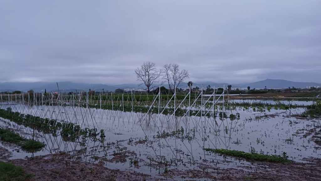 Campos de Gavà inundados tras las lluvias del pasado lunes, 29 de abril