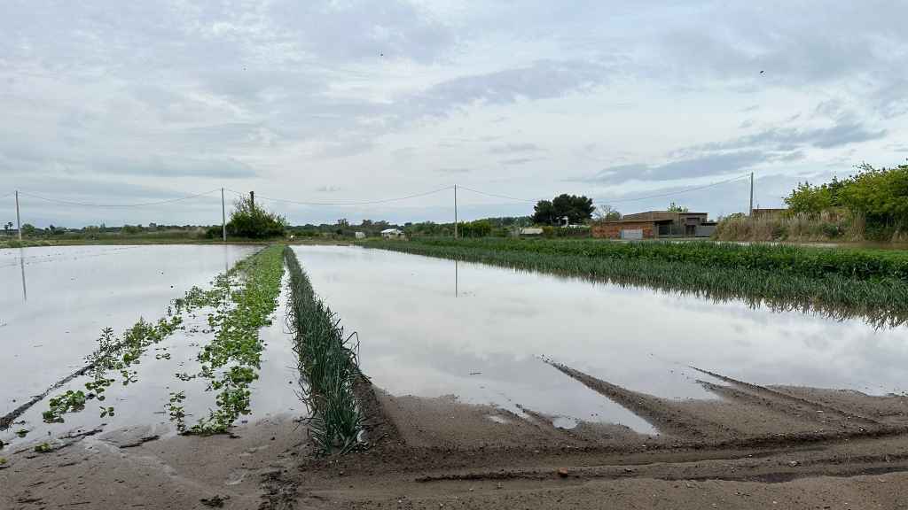 Campos de Viladecans inundados tras las lluvias del pasado lunes, 29 de abril