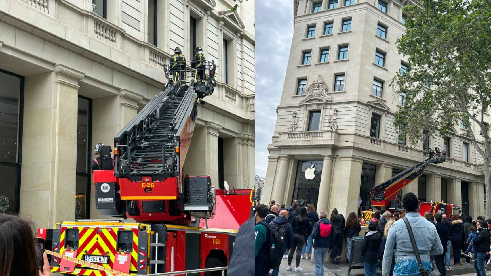 Los bomberos rescatan a una gaviota