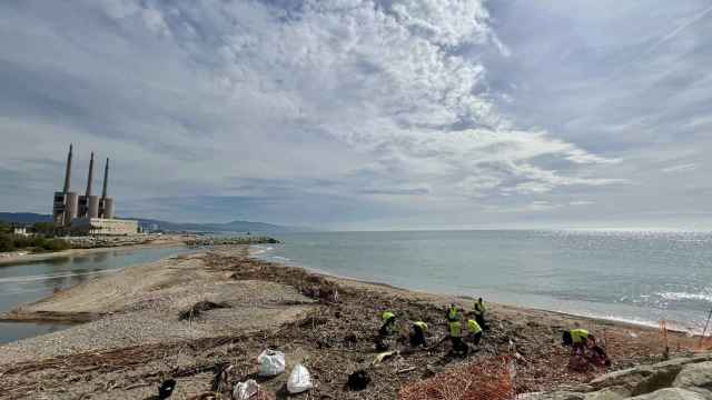 Trabajos de limpieza en la desembocadura del río Besòs