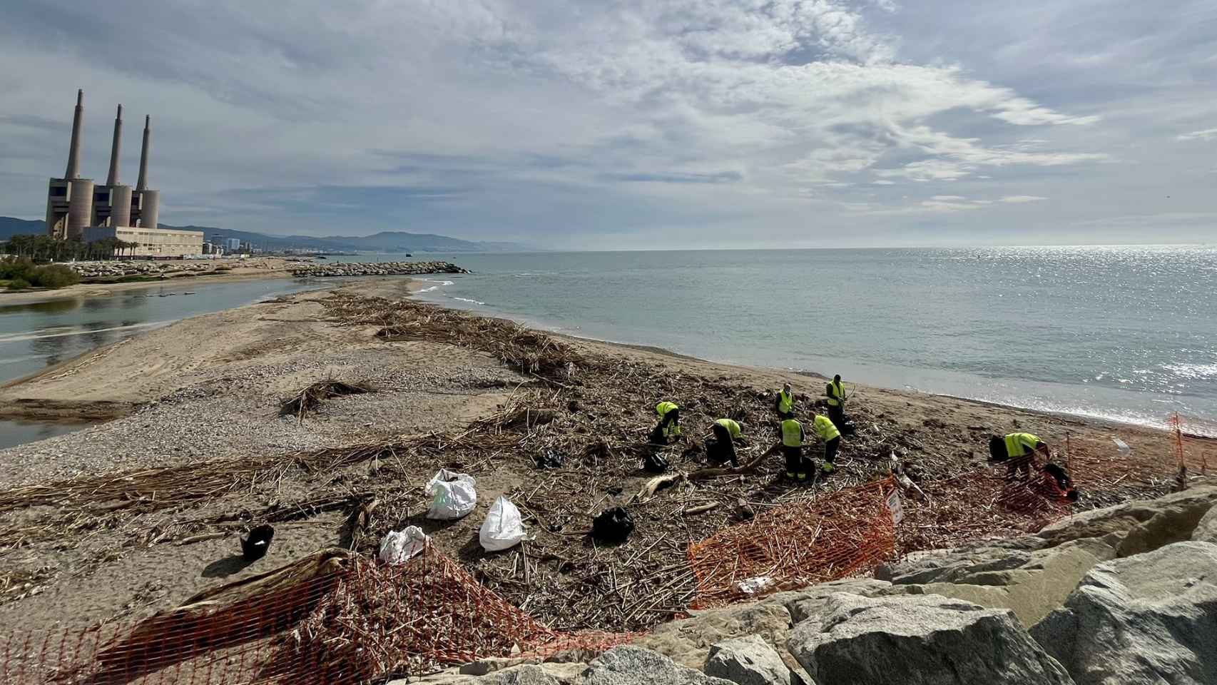 Trabajos de limpieza en la desembocadura del río Besòs