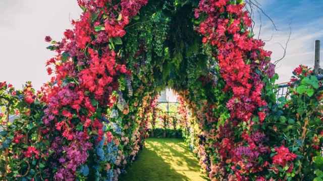 'Sky Garden' de la Casa Batlló