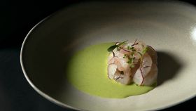 Plato de aguachille de gambas del restaurante Jiribilla, del chef barcelonés Gerard Bellver