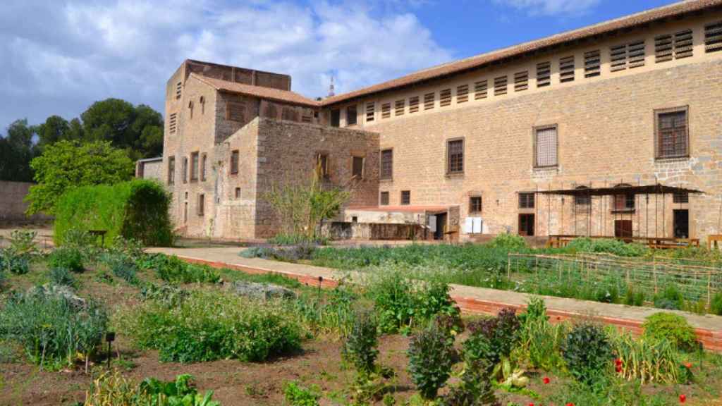 El huerto medieval del monasterio de Pedralbes