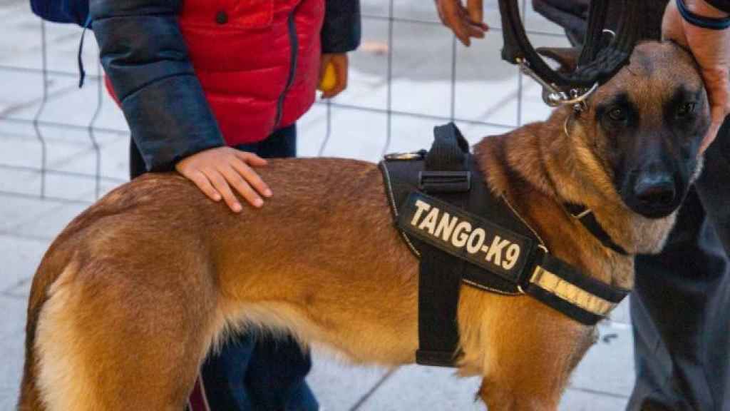 Muere Lúa, una agente canina de la Guardia Urbana de Cornellà