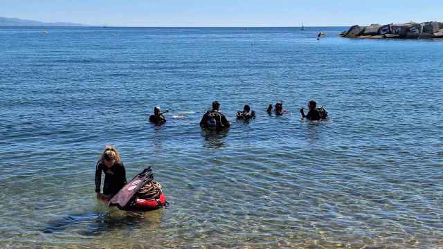 Un grupo de biólogos instala el primer biotopo para caballitos de mar en la playa de Sant Sebastià