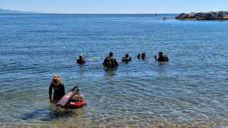 Un grupo de biólogos instala el primer biotopo para caballitos de mar en una playa de Barcelona