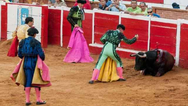 Los barceloneses, ¿a favor o en contra de prohibir los toros en Barcelona?