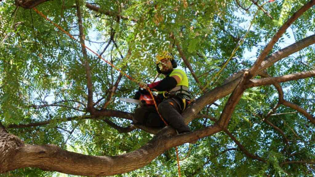 Trabajador de Parcs i Jardins en Barcelona