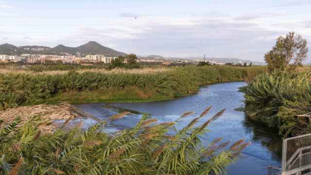 El río Llobregat, a su paso por Sant Joan Despí