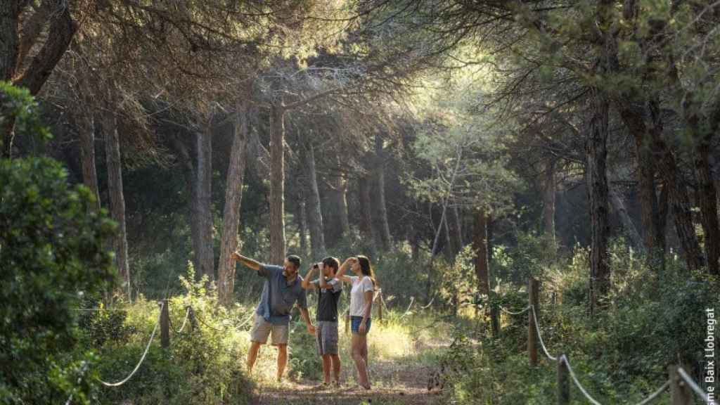 Una visita al bosque de Can Camins en el Prat