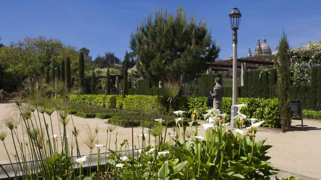 Jardines del Teatre Grec de Barcelona