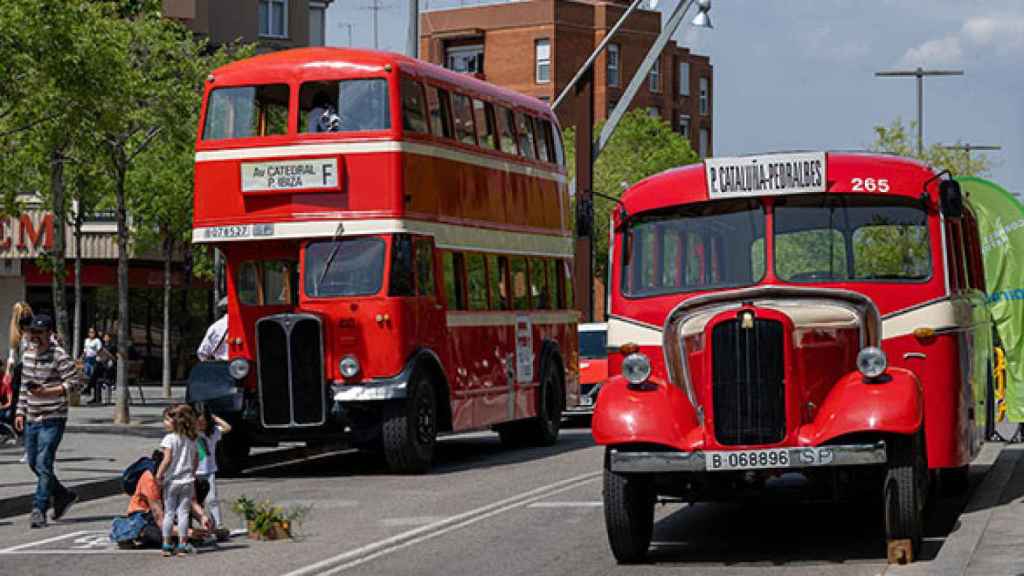 Autobuses clásicos de TMB en una imagen de archivo